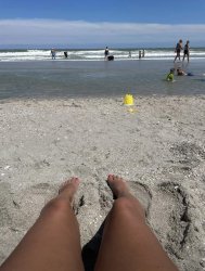Beach day Meme Template