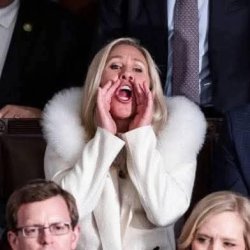 MTG scream Meme Template