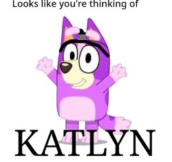 Looks like you're thinking of Katlyn Meme Template