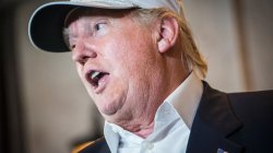 Trump Meme Template