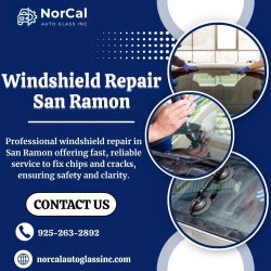Windshield Repair San Ramon Meme Template