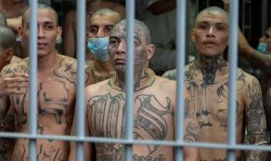 Latin Gang Members (Tattooed) Meme Template