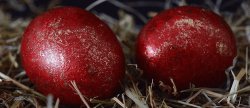 Red eggs Easter Meme Template