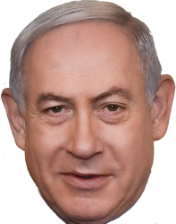 bibi face Meme Template