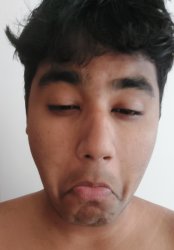 Kinda Lame face Meme Template