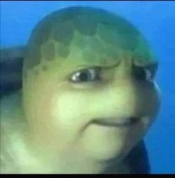 Turtle Meme Template
