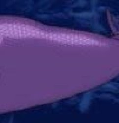 mermaid tail close up Meme Template