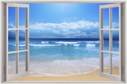 window view Meme Template