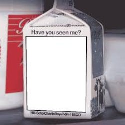 Missing person Meme Template