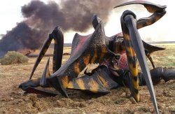 Starship Troopers bug Meme Template