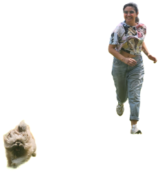 Por mis sueños Meme Template