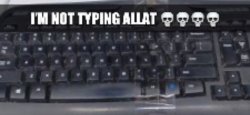 im not typing allat Meme Template