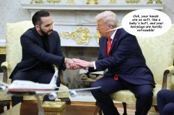 Trump impressed with Niyab Bukkake's soft hands Meme Template