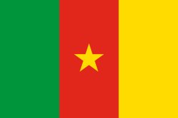 Cameroon Meme Template