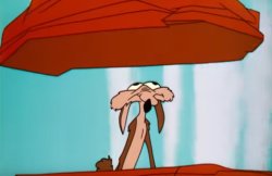 Coyote rock Meme Template