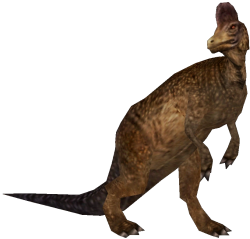 Corythosaurus (FMM UV-32) Meme Template