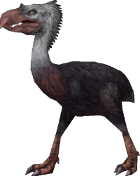 Phorusrhacos (FMM UV-32) Meme Template