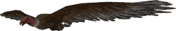 Teratornis (FMM UV-32) Meme Template