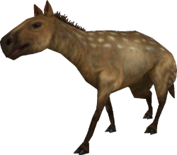 Eohippus (FMM UV-32) Meme Template
