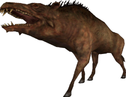 Entelodon (FMM UV-32) Meme Template