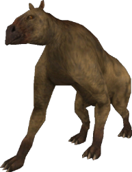 Ancylotherium (FMM UV-32) Meme Template