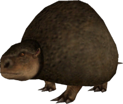 Panochthus (FMM UV-32) Meme Template