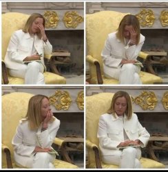 Dealing with an idiot Meme Template