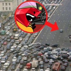 Ruby driving Meme Template