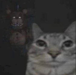 Cat is cooked by Freddy Meme Template