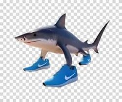 Tralalero tralala Meme Template