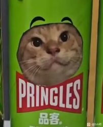 cat chip Meme Template