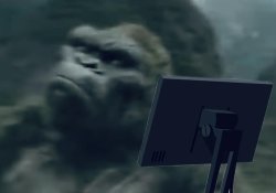 Kong computer Meme Template