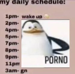 my daily schedule Meme Template