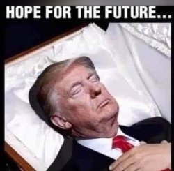 Trump sleeping Meme Template