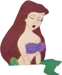 ariel calm Meme Template