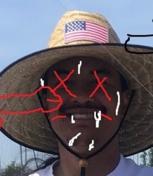 funny hat Meme Template
