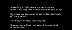 Bee movie introduction speech Meme Template