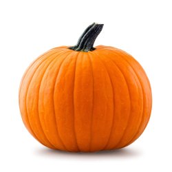 Pumpkin Meme Template