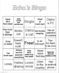 Echo.'s Bingo Meme Template