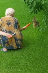 Old lady and rabbit Meme Template
