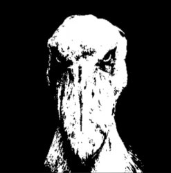 shoebill Meme Template