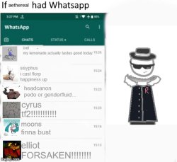 if aethereal had whatsapp Meme Template