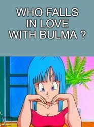 who falls in love with bulma ? Meme Template