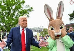 Pussy bunny ears Meme Template