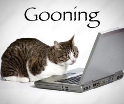 Gooning Meme Template