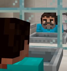 Steve vs steve Meme Template