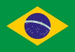 flag brazil Meme Template