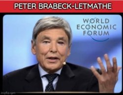 WEF Peter Brabeck - Letmathe Meme Template