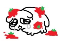Weird Tomatoed cat Meme Template