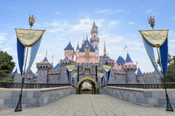 Things To Do in Disneyland® Park in Anaheim | Rides & Food Meme Template